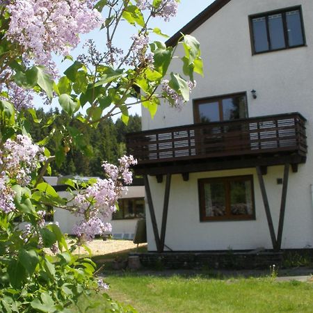 Ferienwohnungen Federleicht Titisee-Neustadt Εξωτερικό φωτογραφία